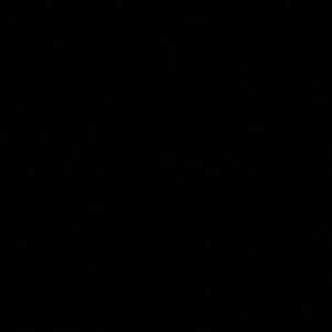 Meet your Posher, Jackson